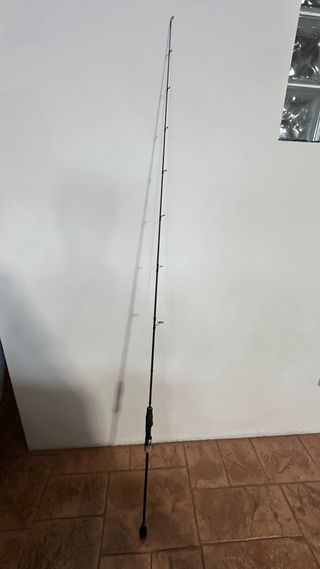 Caña de pesca Jigging