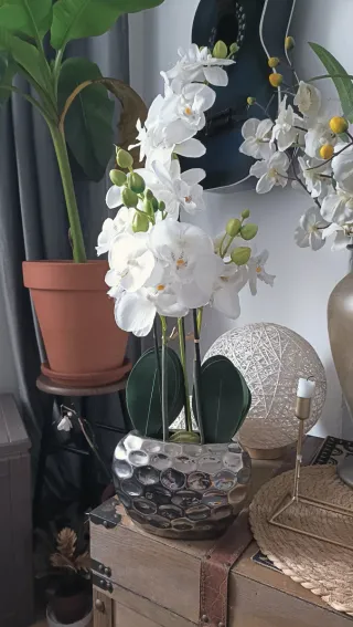 Figura Buda Decoración, planta vela lampara