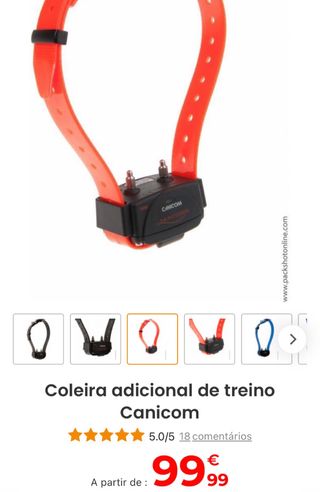 4 Coleiras Cão Ensino Localização