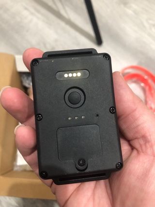 4 Coleiras Cão Ensino Localização