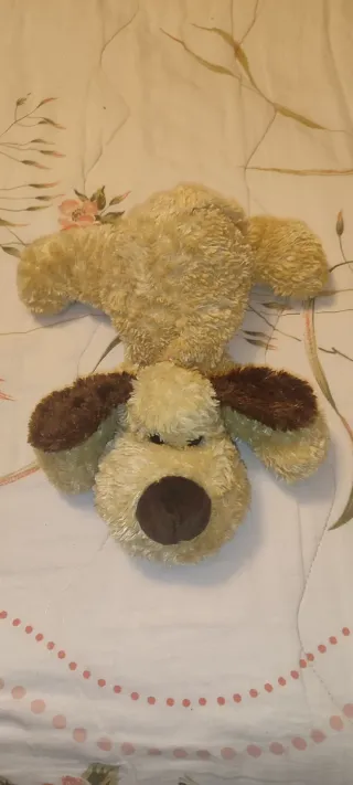 Peluche cane morbido