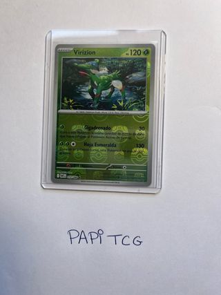 2 Cartas Pokémon TCG Master Ball / Axew - Virizion