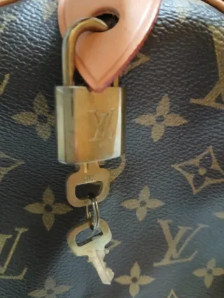 Bolso Louis Vuitton Marrón