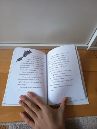 Isadora Moon va de excursion / Isadora Moon Goe...