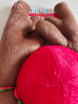 Cuernos y Nariz Reno Coche Navidad