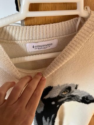 Jersey Stradivarius Talla Única Perro