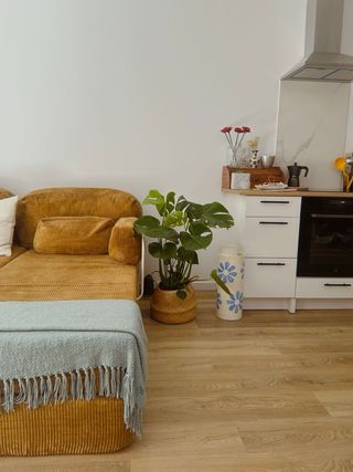 Campana extractora de cocina