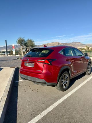 Lexus NX 2.5 300h Executive 4WD