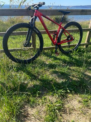 Bicicleta Wilier Triestina 101x Carbono Talla M