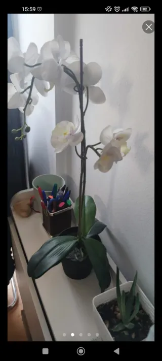 Orquídea artificial blanca