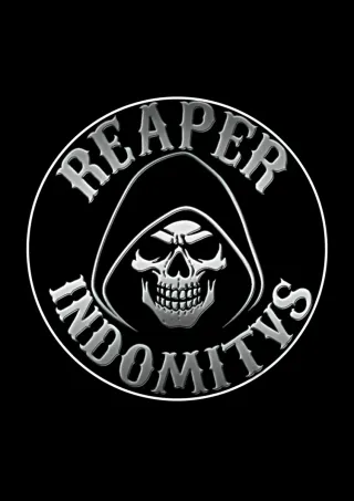 Parches Reaper Indomitvs