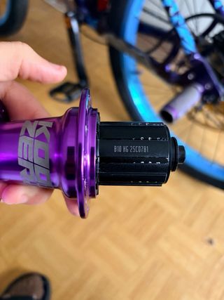 Maza Koozer 490 Morada