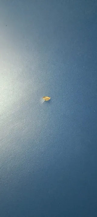 Mesa Ping Pong de interior Azul + Accesorios