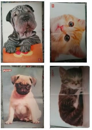 Pack 10 Posters de Animales