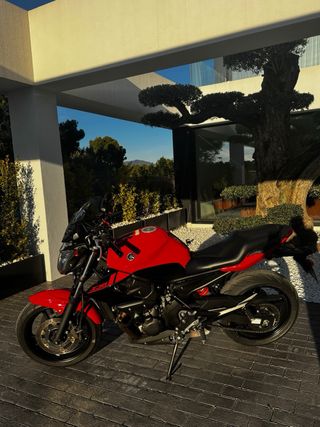 Yamaha XJ6 N 2013 Roja