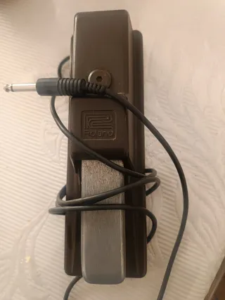 Pedal Roland DP-10 Sustain