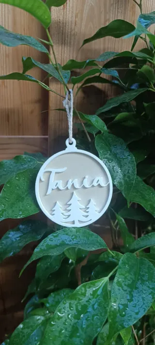 Adornos Navideños Personalizados Madera y Plástico