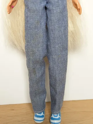 Barbie Teen Skipper All Grown Up