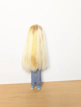 Barbie Teen Skipper All Grown Up