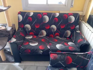 Sofá y sillón estampado