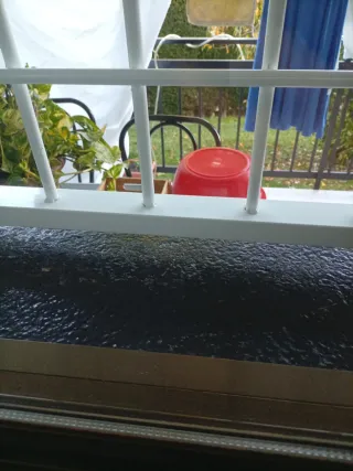 Chicas solo buena gente