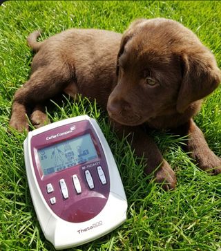 Cefar Compex Theta 500 TENS Theta 500 de Cefar