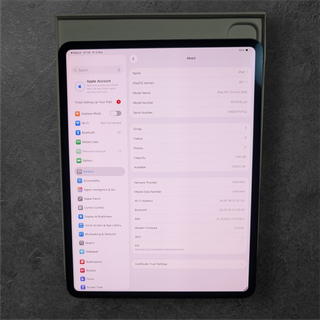 Apple iPad Pro 13" M4 256GB Cellular Súper Precio