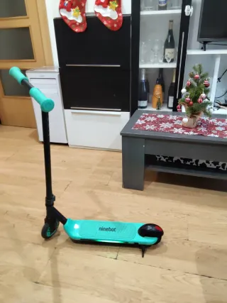 Patinete eléctrico Ninebot
