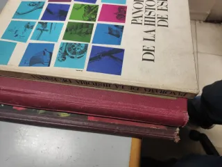 Lote álbumes cromos antiguos