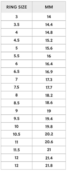 Fossil Anillo Acero con Piedras Semipreciosas