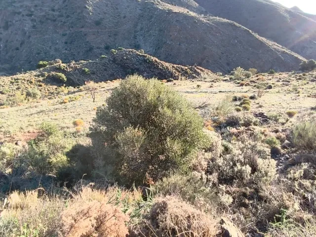 Paraíso Adra, Vistas al mar