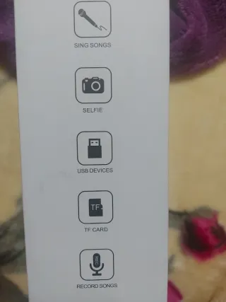 Micrófono Karaoke WS-858