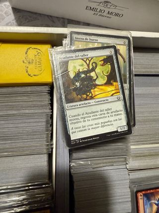 Lote Cartas Magic: The Gathering