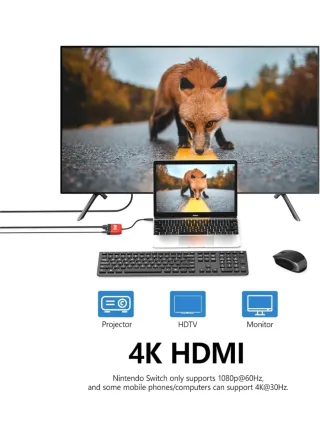 Dock para Nintendo Switch/OLED