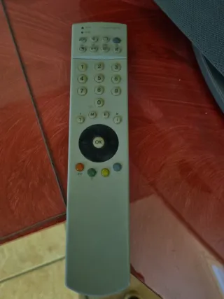 Televisor Loewe Gris