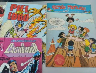 Lote Tebeos Forum: Fuera Borda, El Castigador