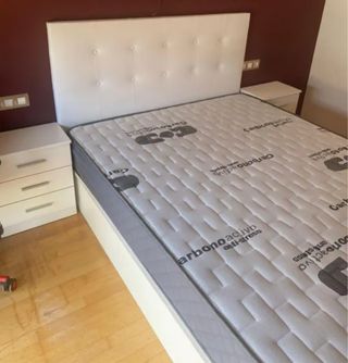 Canape Canape Canape