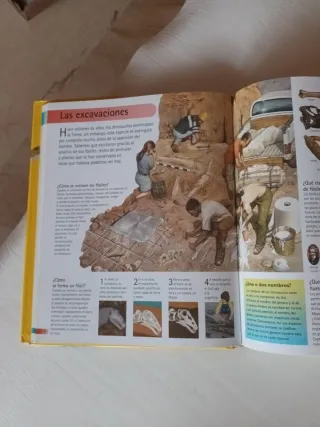 Gran libro de 1000 preguntas y respuestas (El g...