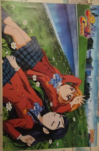 Pack 2 Pósters Pretty Cure