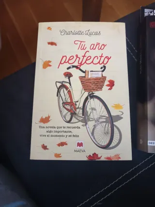 Tu año perfecto / Your Perfect Year (Spanish Ed...