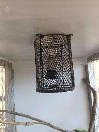 Terrario Malla Camaleón blanca