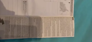 Inmovilizador rodilla rodillera Orliman ortesis