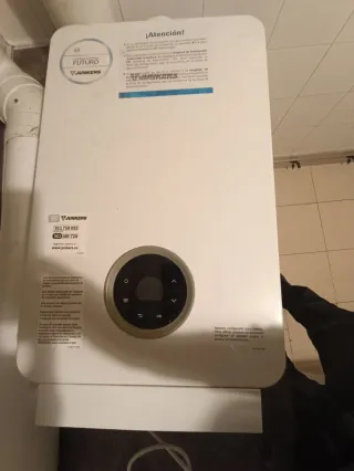 Caldera Junkers Gas/Butano Blanca