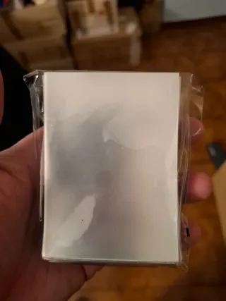 Proteggi carte Pokémon Eeveelution