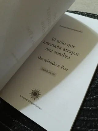 El niño que intentaba atrapar una sombra: Desve...