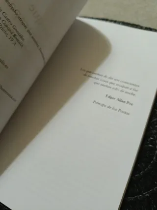 El niño que intentaba atrapar una sombra: Desve...