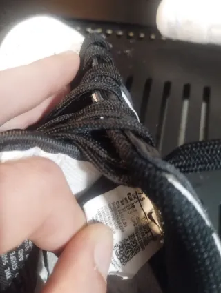 Nike Dunk Low Retro Panda