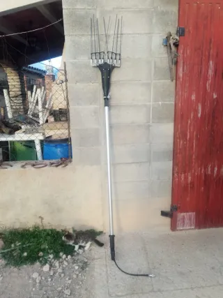 Máquina para olivos