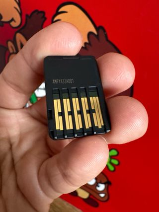 Nintendo Switch Pikmin 4 Juego