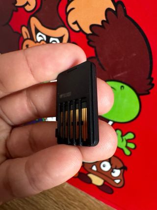 Nintendo Switch Pikmin 4 Juego